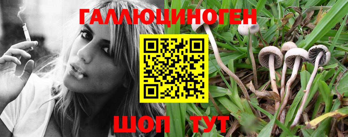 Грязи  Псилоцибиновые грибы Cubensis  Вход с VPN 